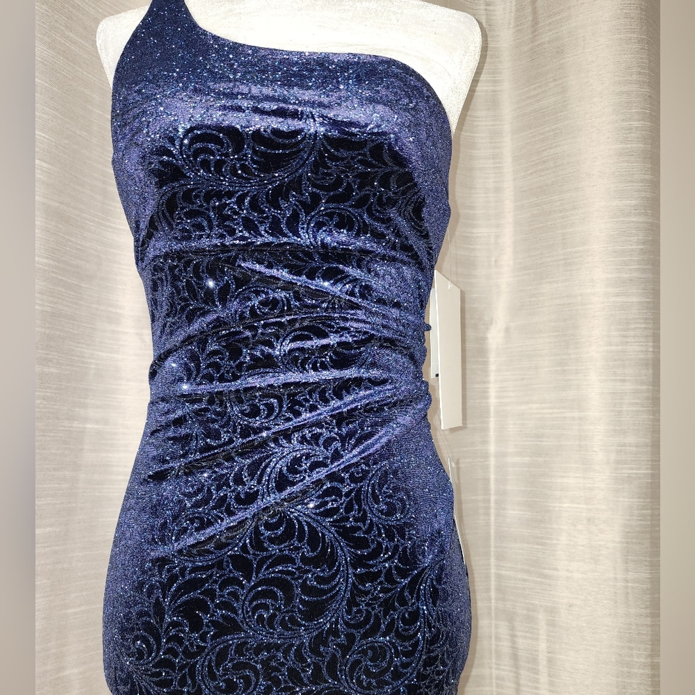 NWT Shimmering Asymmetrical Dress